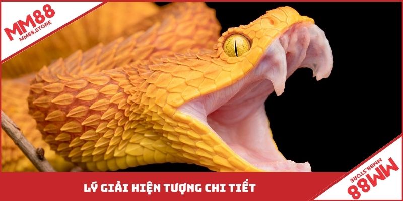 Lý giải hiện tượng chi tiết
